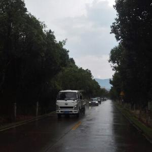 山脚下的茶人 头像