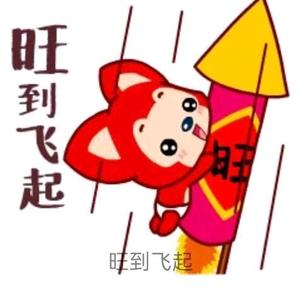 旺到起飞 头像
