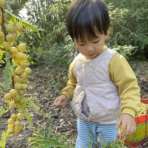 深圳小家电单片机开发头像