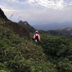 果果喜欢说 头像