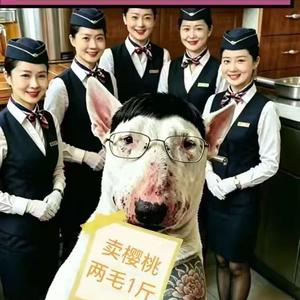 杨二狗 头像