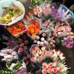 暮念侃历史 头像