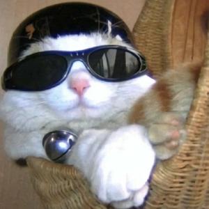 早八信息差 头像