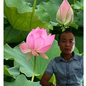 穷人只会看现象富人懂得看本质 头像