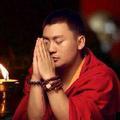 天赐壹木李博士 头像