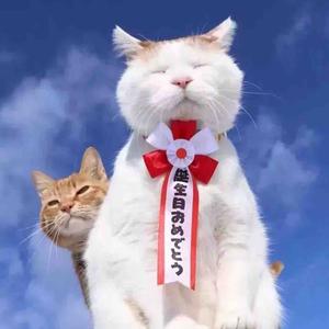 奥特曼爱吃饭uu 头像