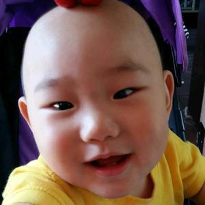 博学多才的铁木真 头像